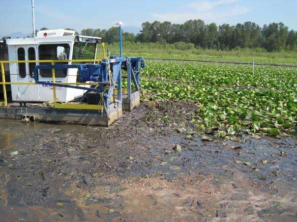 Dredging Burnaby Lake