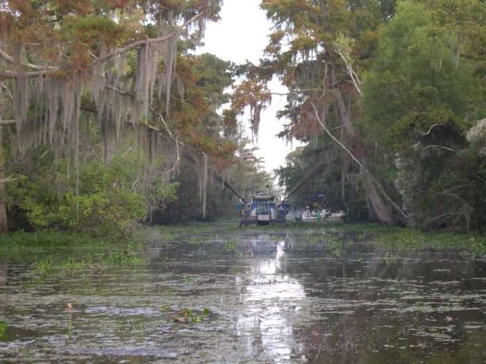 An IMS 5012 LP Versi-Dredge clears a rowing canal at a U.S. National Park.